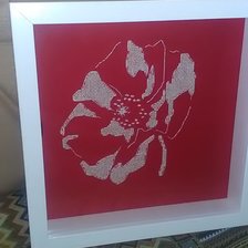 Работа «Мак»