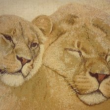 Работа «семейство»