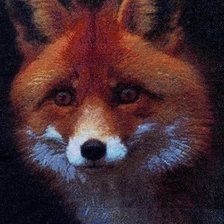 Работа «№70659»