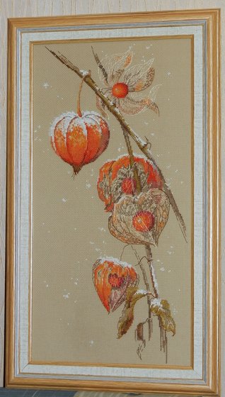 Работа «Физалис»