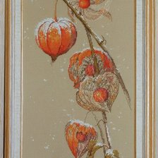 Работа «Физалис»