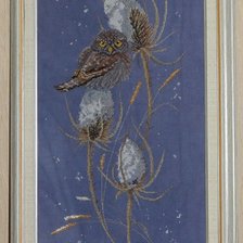 Работа «Воробьиный сычик»