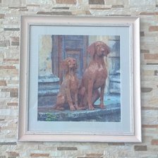 Работа «Мои собаки»