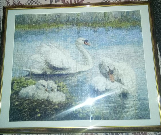 Работа «Семья лебедей»