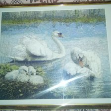 Работа «Семья лебедей»