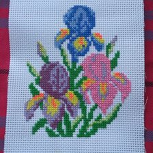 Работа «Ирисы (моя третья работа)»