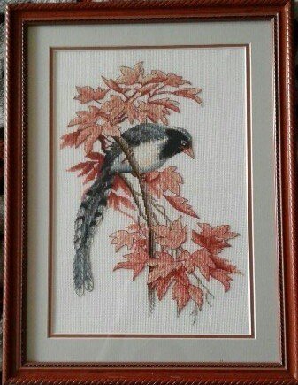 Работа «Райская птичка»