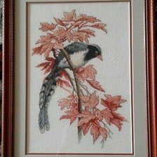 Работа «Райская птичка»