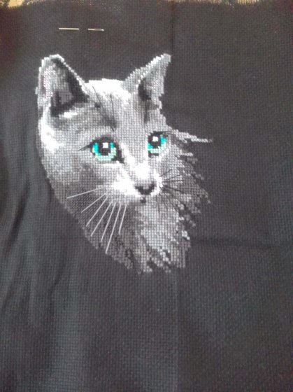 Работа «котик»