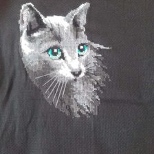 Работа «котик»