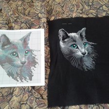 Работа «котик»