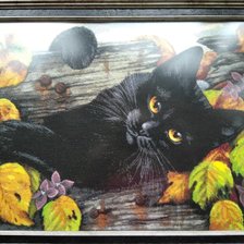 Работа «Кошечка Гармашовой Хаед»