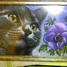 Работа «Кошечка Гармашовой Хаед»