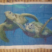 Работа «Черепашки»