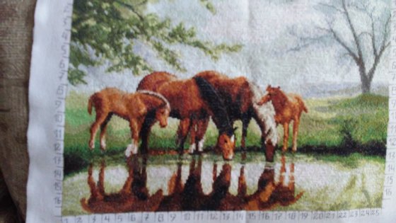 Работа «№71335»