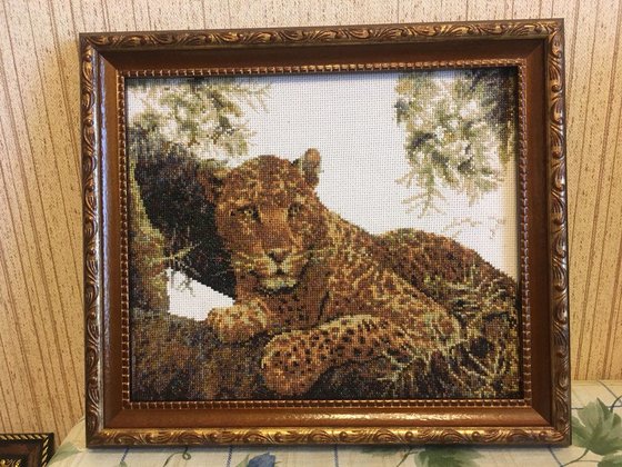 Работа «Сомалийский леопард»