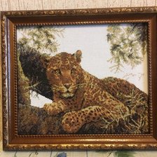 Работа «Сомалийский леопард»