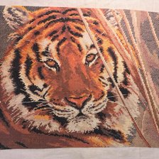 Работа «Амурский тигр»