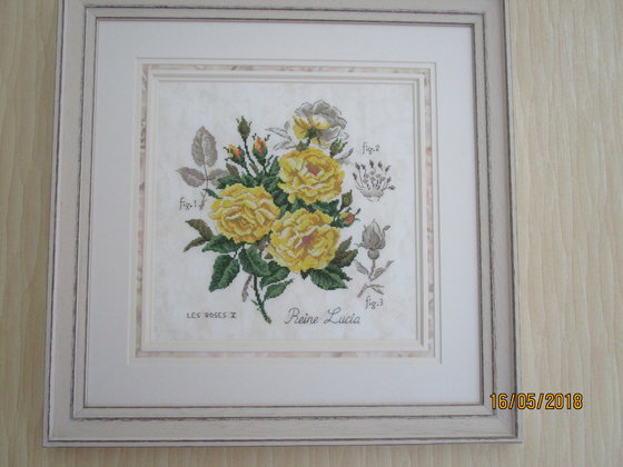 Работа «Желтые розы королева Люсия. Ботаника»