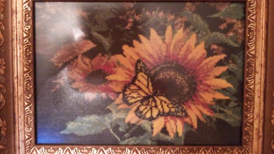 Работа «Бабочки на цветах»