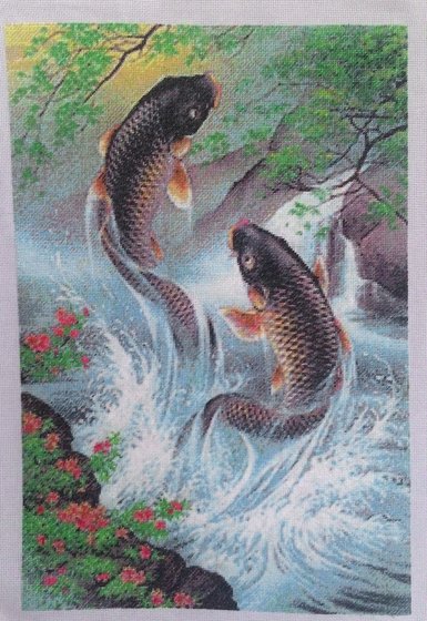 Работа «Прыгающие карпы»