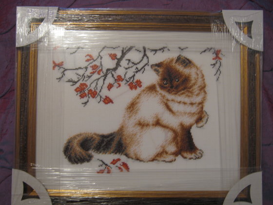 Работа «Котик»