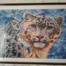 Работа «Снежный барс»