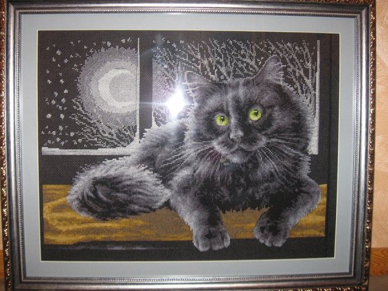 Работа «Черный кот»