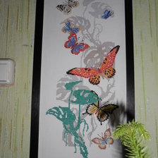 Работа «Экзотические бабочки»