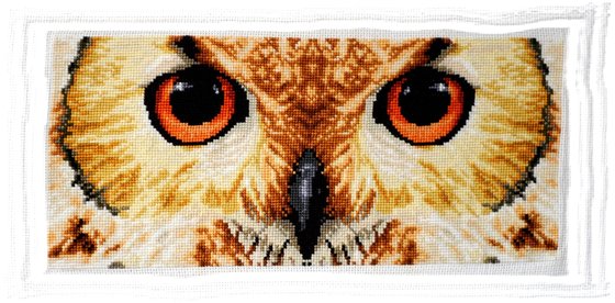 Работа «Совёнок =)»