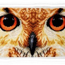 Работа «Совёнок =)»