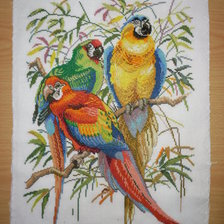 Работа «№71725»