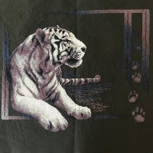 Работа «№71728»