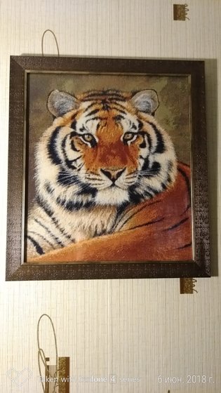 Работа «Тигр»