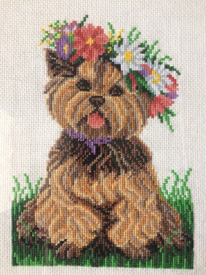 Работа «Йоркширский терьер»