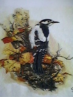 Работа «Dzięcioł»