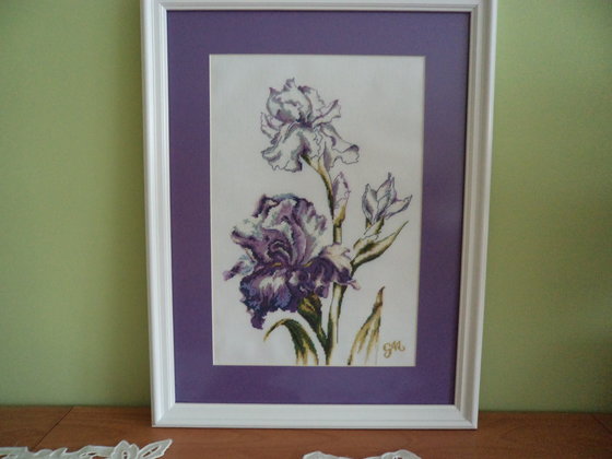 Работа «Irysy»