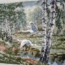 Работа «лесные лебеди»