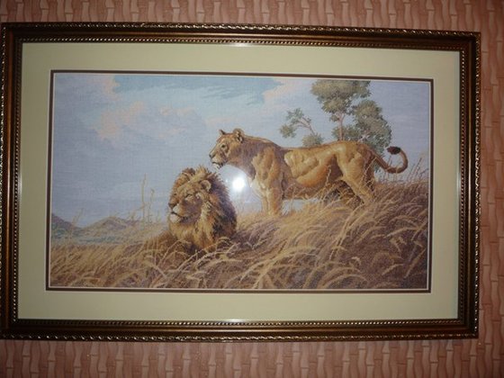Работа «Африканские львы.»