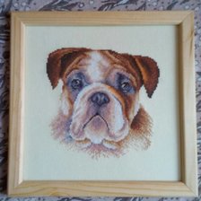 Работа «Мопс»