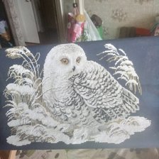 Работа «Полярная сова»