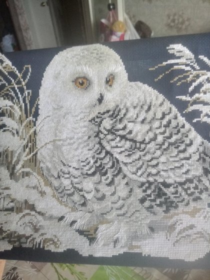 Работа «Белая сова»