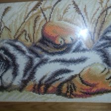 Работа «№72163»