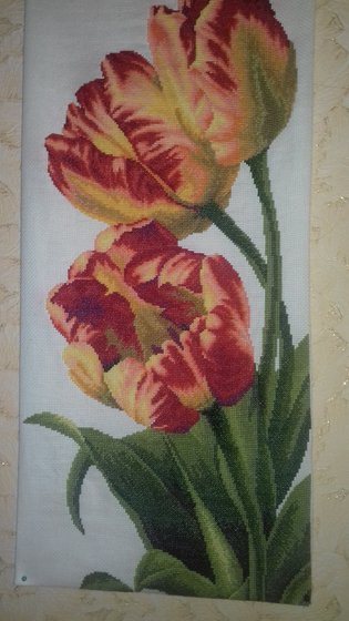 Работа «№72164»