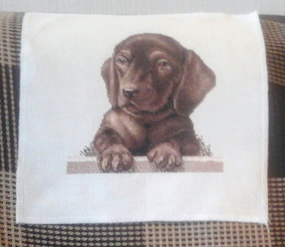 Работа «Щенок таксы»