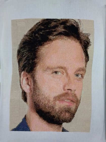 Работа «Sebastian Stan»