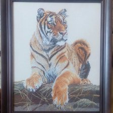 Работа «Тигр»