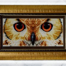 Работа «Совёнок =)»