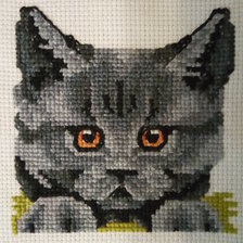 Работа «"Котик"»