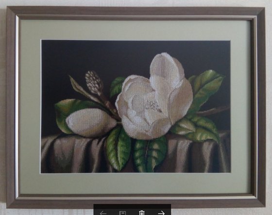 Работа «Магнолия»